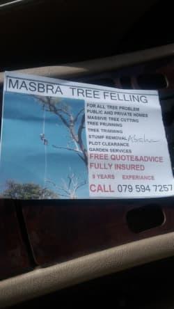 Masbra Tree Felling profile