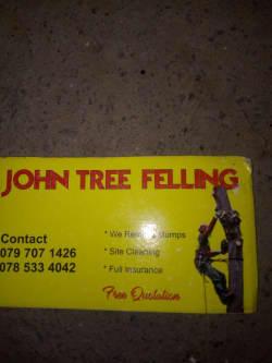 John Tree Fellers profile