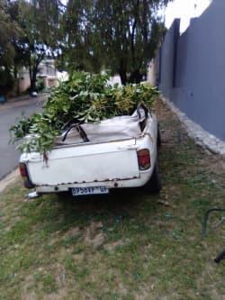 Maxwell Chereni profile