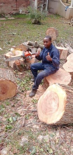 Gibson Wesley profile