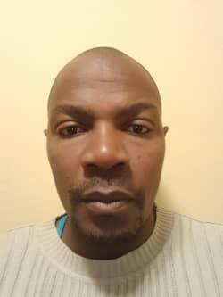 Paddington Zinge Paddy profile