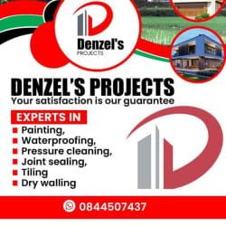 Denzel's projects profile