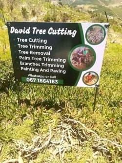 David Paudha Grant  tree feeling profile