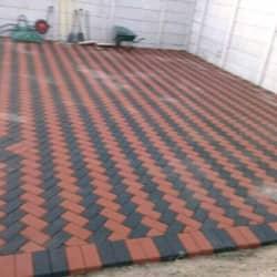 Neziswa Trymore profile