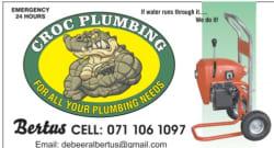 Albertus De Beer profile