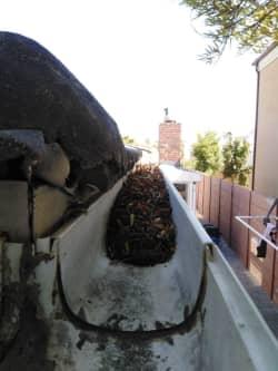 Gutter Vac Cleaning Services Andrew profile