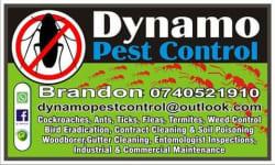 Dynamo Pest Control Shabe profile