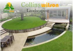 Collen Wilson Collins wilson profile