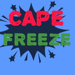 Cape Freeze Refrigeration profile