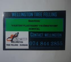 Wellington Chikwenya Wellington tree feller profile