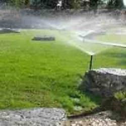 Levie Kapetamanja Levie's Irrigation Sprinklers profile
