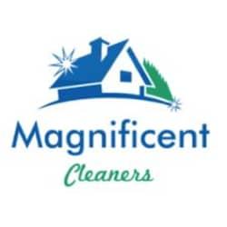 Berven Mashonganyika Magnifcent Cleaners Pty Ltd profile