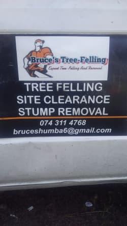 Bruce TreeFelling profile