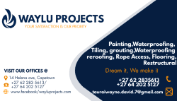 Wayne Taurai David W & L PROJECTS profile