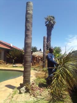 James Powertech Tree Felling profile