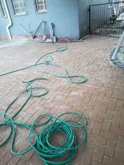 Trevor Kaseke profile