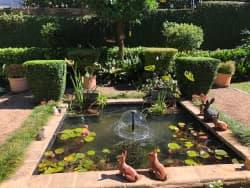 Nqobani Sibanda Austin profile