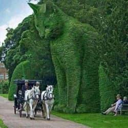 Thabiso Phalane profile