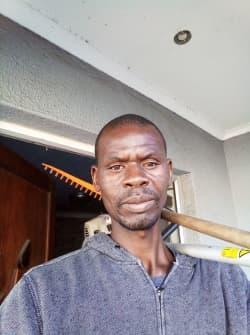Munetsi Mbano. profile