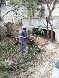 Matrosov Mandla Petchu profile