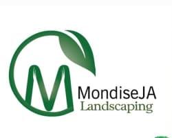 Mondise Ja Holdings Julius profile