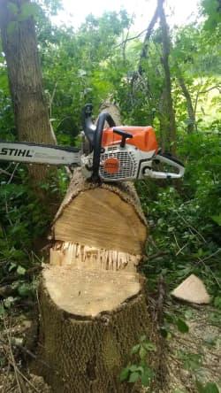 Leanard Learnad mk profile